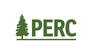 Pamela Muldoon Voice Actor Perc Logo